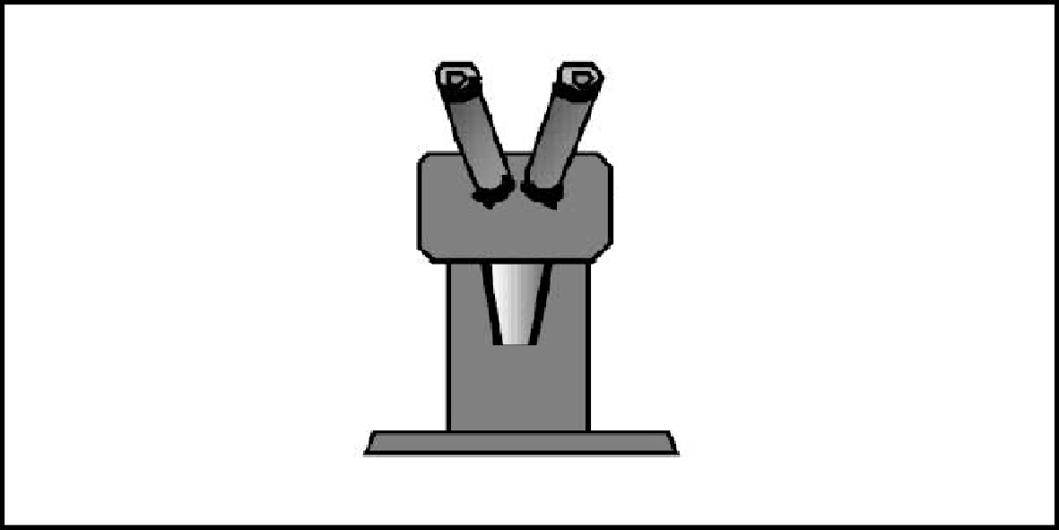 Stereomikroskope
