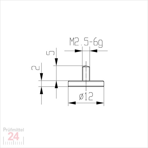 Messeinsatz für Messuhr Ø  12 mm Typ: 102
Stahl rostfrei  573/11 12
