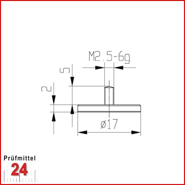 Messeinsatz für Messuhr Ø  17 mm Typ: 102
Stahl rostfrei  573/11 17
