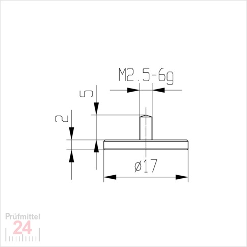 Messeinsatz für Messuhr Ø  17 mm Typ: 102
Stahl rostfrei  573/11 17
