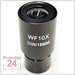 Okular (Ø 23,2 mm): WF 10 x /Ø 18 mm (mit Pointer-Nadel)
Mikroskopokulare - OBB-A3201